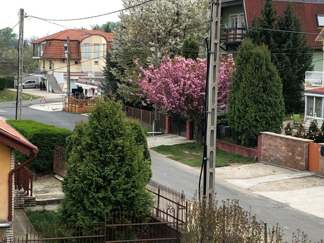 Jozsef Apartments House زلاكاروس المظهر الخارجي الصورة