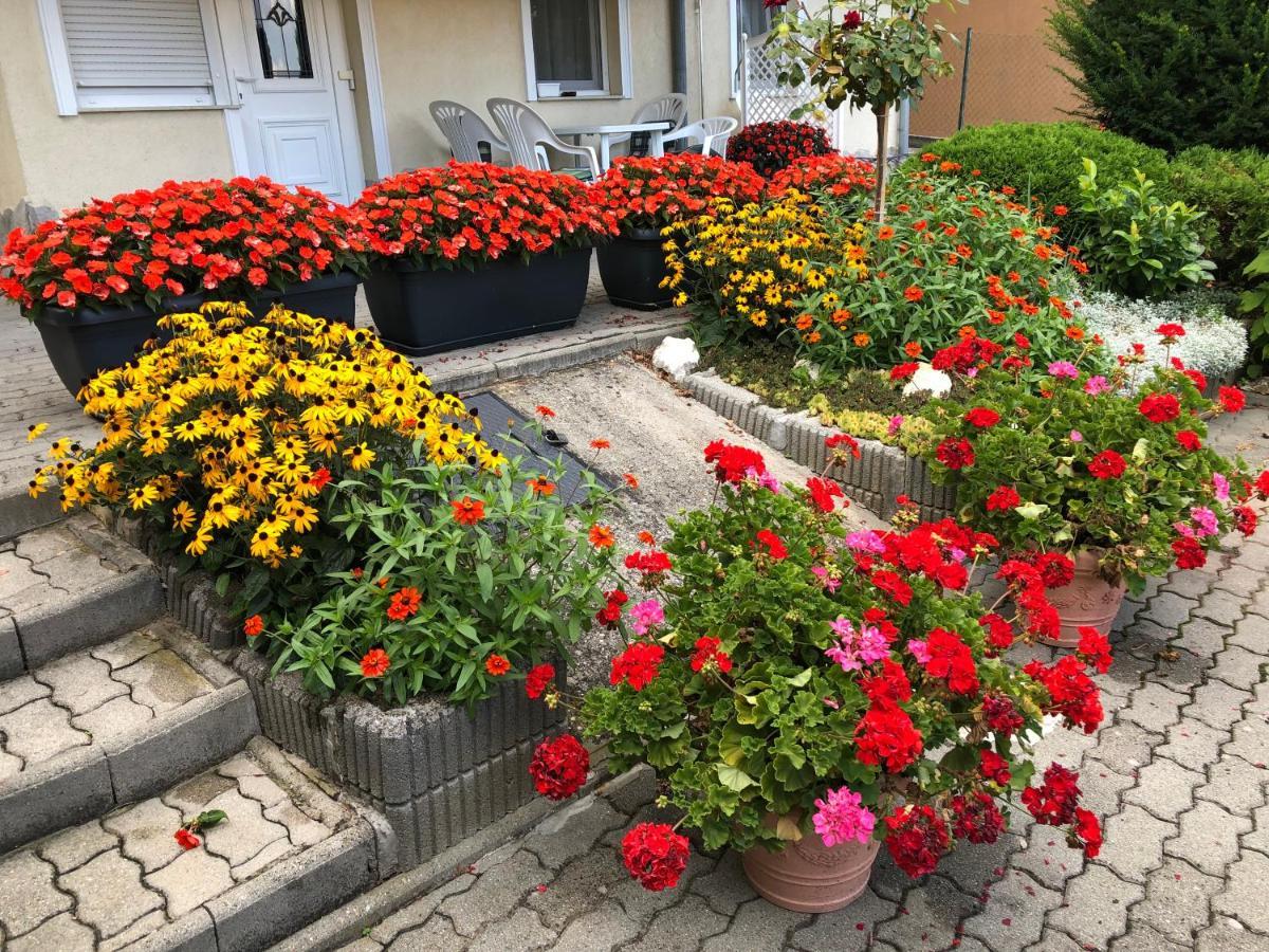 Jozsef Apartments House زلاكاروس المظهر الخارجي الصورة